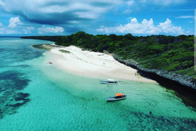 Pungume Island Tour