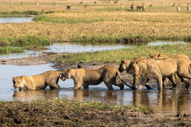 3-Day Tour to Serengeti & Ngorongoro from Zanzibar